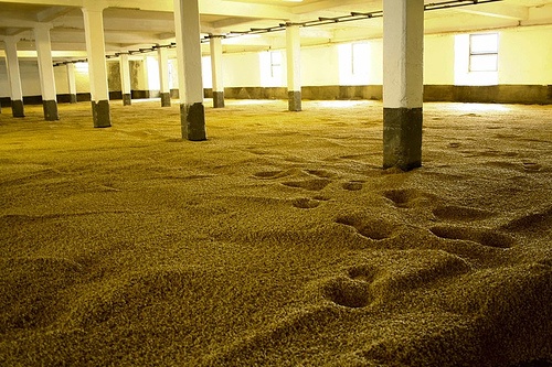 malting of whisky 