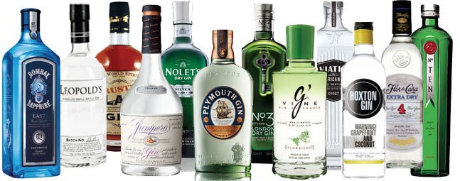 facts about Gin